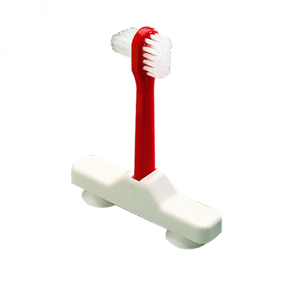 Diverse Heel Lucky Maak uw kunstgebit eenvoudig schoon met deze tandenborstel op zuignap -  Mijn Leefgemak